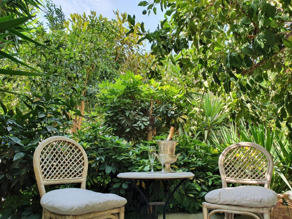 Orea Ellas Kos - Apartments & Bistro-Cafe Lagoudi Zia Exteriör bild